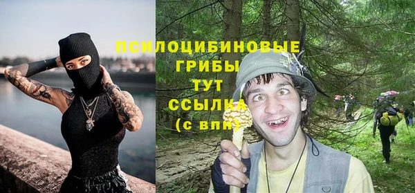 ешки Богородицк
